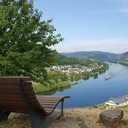 Moselkino Zell Mosel * Merl
