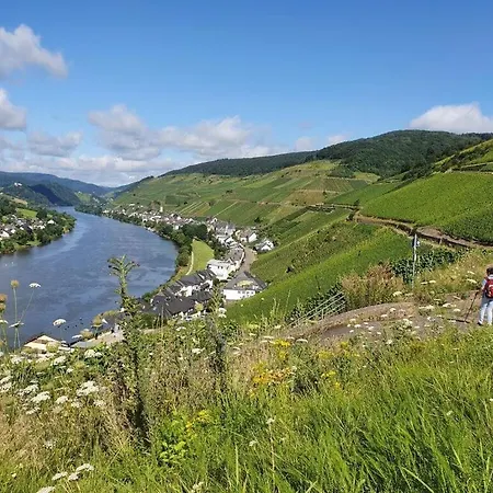 Semesterbostad Moselkino Zell Mosel Merl